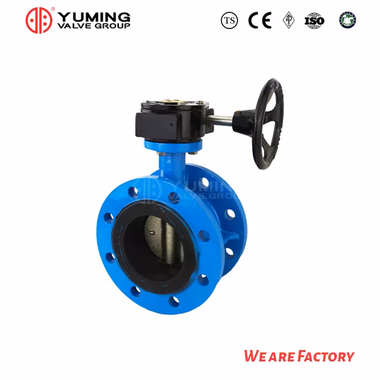 ANSI API CF8 Di Ci EPDM PTFE Strong Acid Ductile Iron Lever Opreated Wafer Lug Butterfly Valve China Suppliers