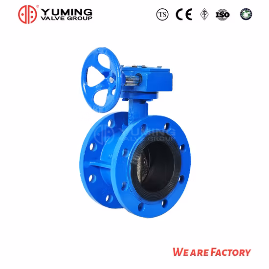 ANSI API CF8 Di Ci EPDM PTFE Strong Acid Ductile Iron Lever Opreated Wafer Lug Butterfly Valve China Suppliers