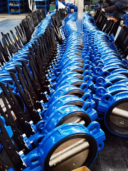 ANSI API CF8 Di Ci EPDM PTFE Strong Acid Ductile Iron Lever Opreated Wafer Lug Butterfly Valve China Suppliers